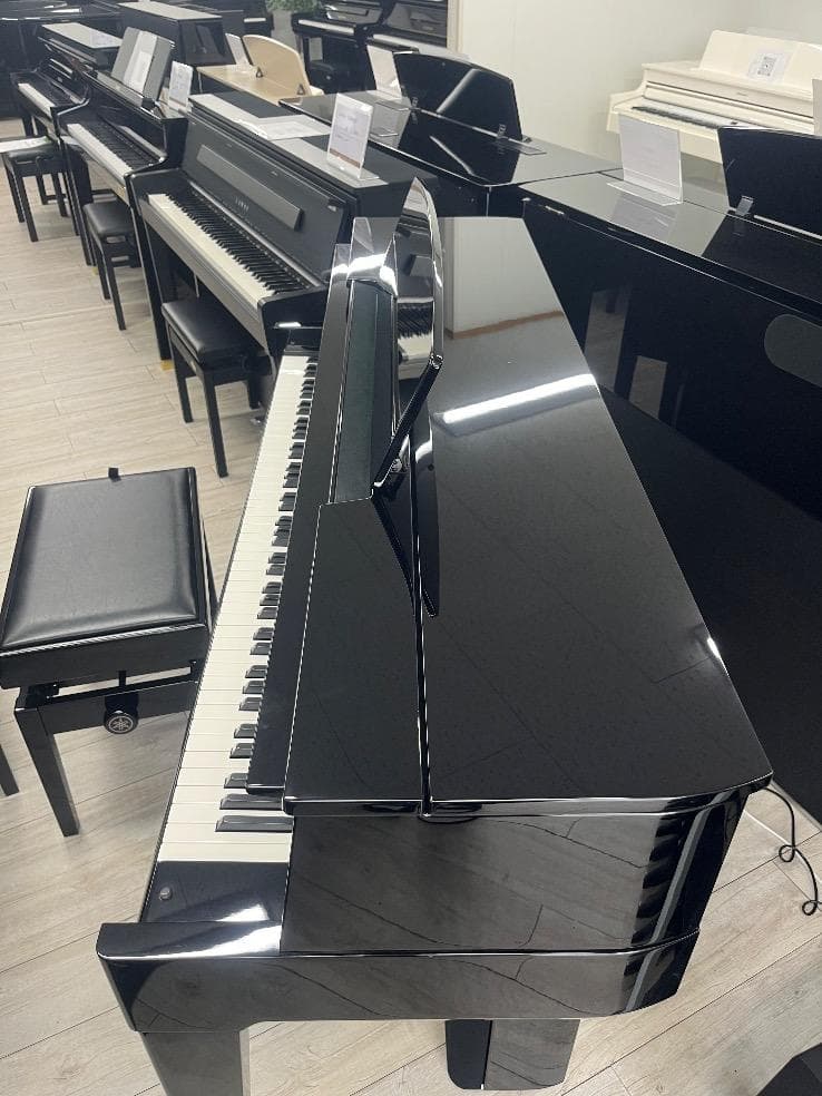 Yamaha Keyboards Digital Pianos 91496 N2 12