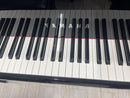 Yamaha Keyboards Digital Pianos 91496 N2 12