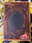 Yu -Gi -Oh! Ocg Duel Monsters