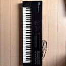 Roland Others D-10