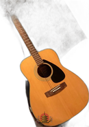 Yamaha Acoustic Guitar
