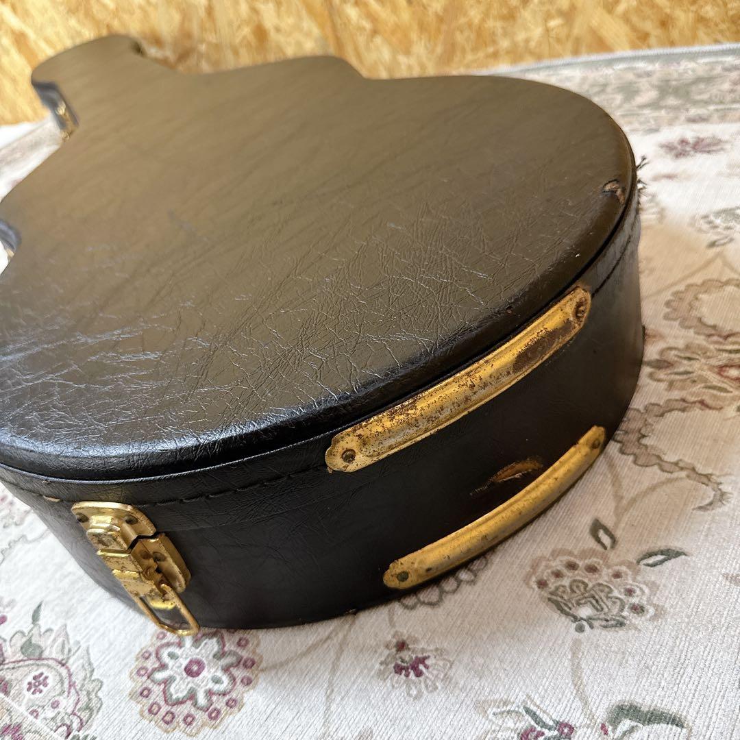 Guitar Cases Yamaha Sx900B Sg