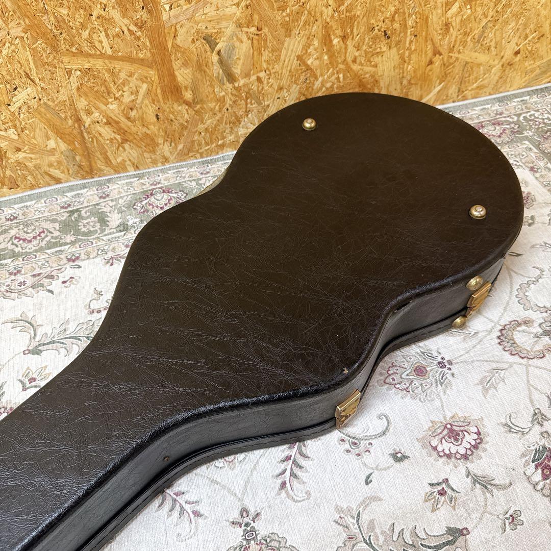 Guitar Cases Yamaha Sx900B Sg