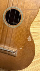 Yamaha Ukuleles No. 80