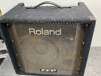 Bass Amps Roland Db-500