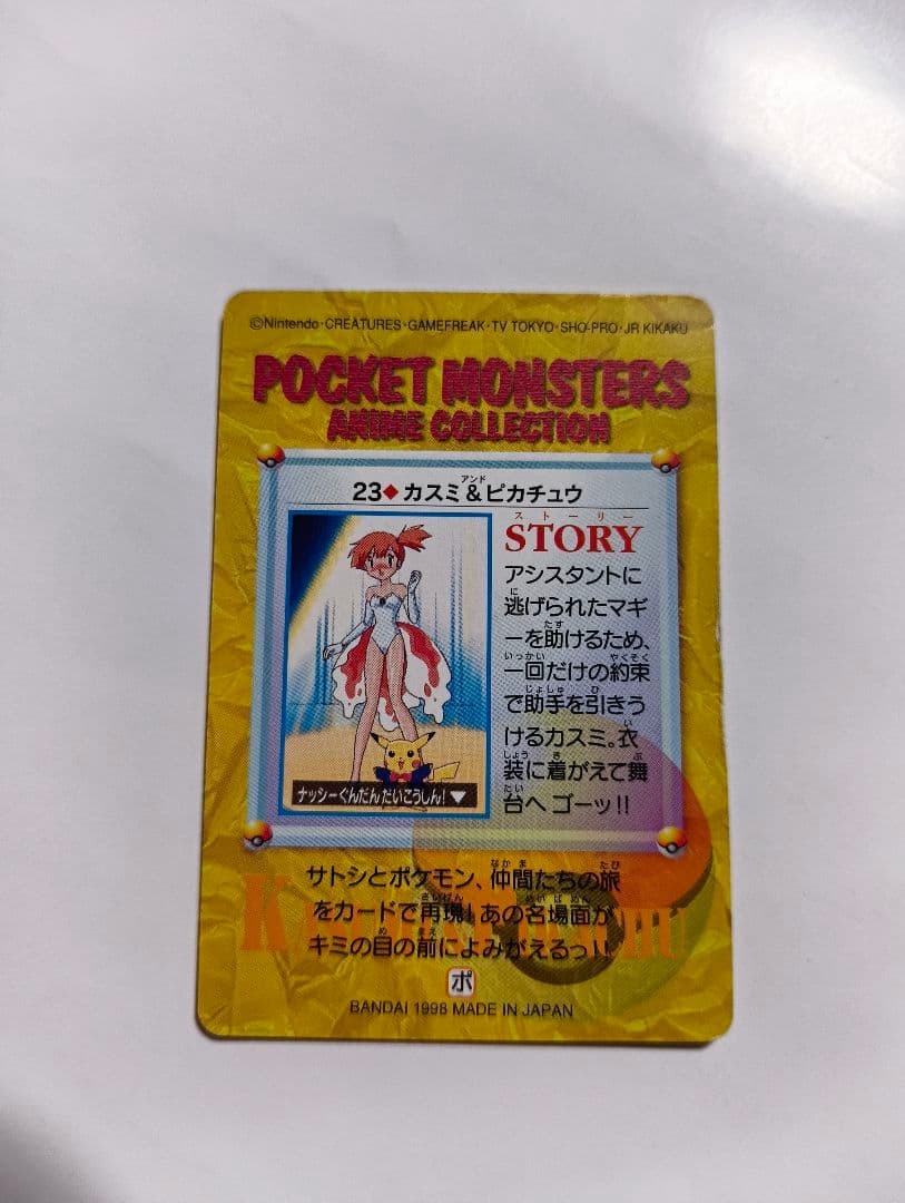 Pok Mon 23.