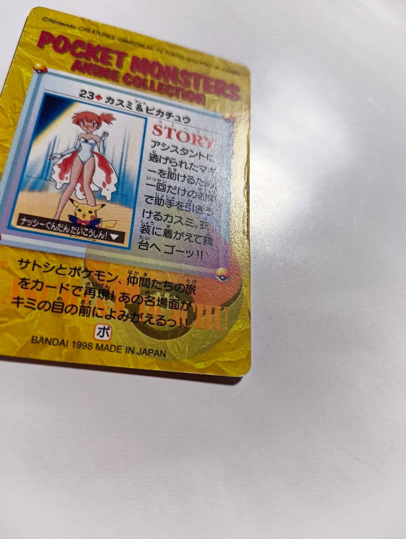 Pok Mon 23.