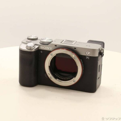 Sony Mirrorless Interchangeable Lips 7C 349