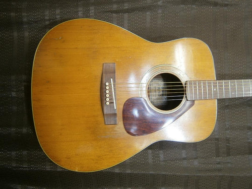 Acoustic Guitars Fg160