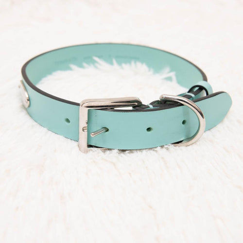 Tiffany Collar
