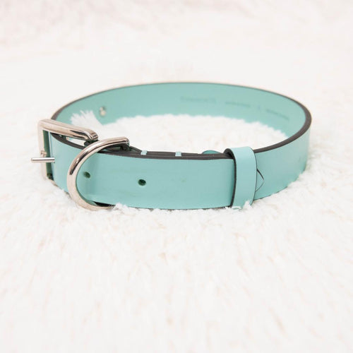 Tiffany Collar