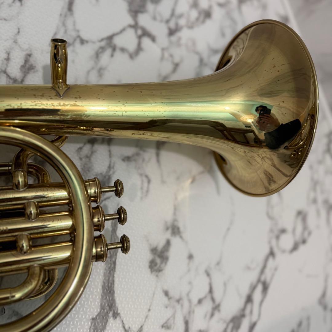 Yamaha Alto Horns Yah201