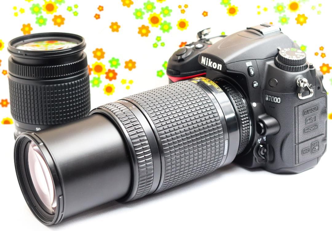 Nikon Digital Slr D7000