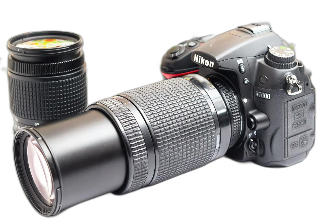 Nikon Digital Slr D7000