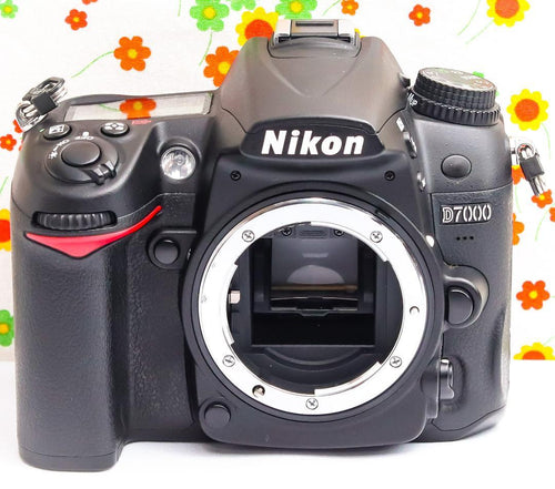 Nikon Digital Slr D7000