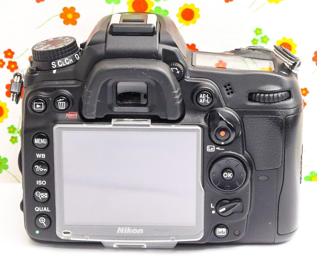 Nikon Digital Slr D7000