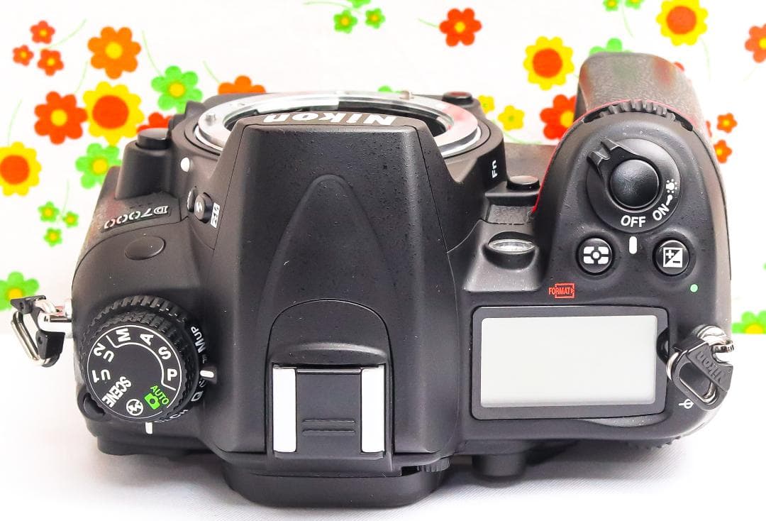 Nikon Digital Slr D7000