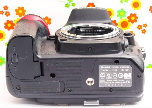 Nikon Digital Slr D7000