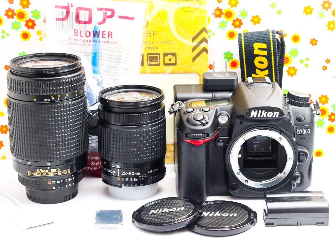 Nikon Digital Slr D7000