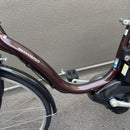 City-Style Bicycles 26 12.3Ah 011