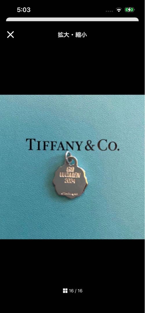 Tiffany Necklaces 2012-2024 13