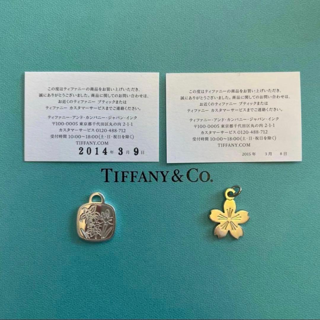 Tiffany Necklaces 2012-2024 13