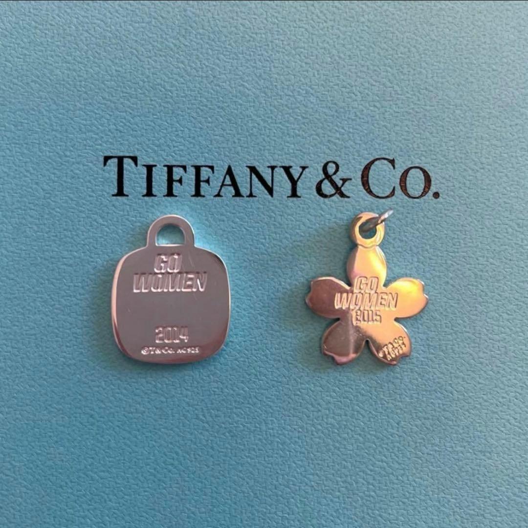 Tiffany Necklaces 2012-2024 13