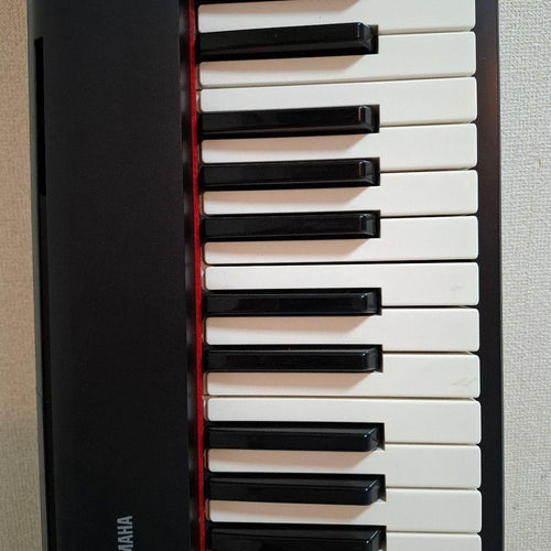 Yamaha Keyboards Digital Pianos Np-11