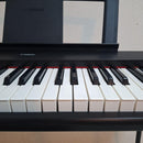 Yamaha Keyboards Digital Pianos Np-11