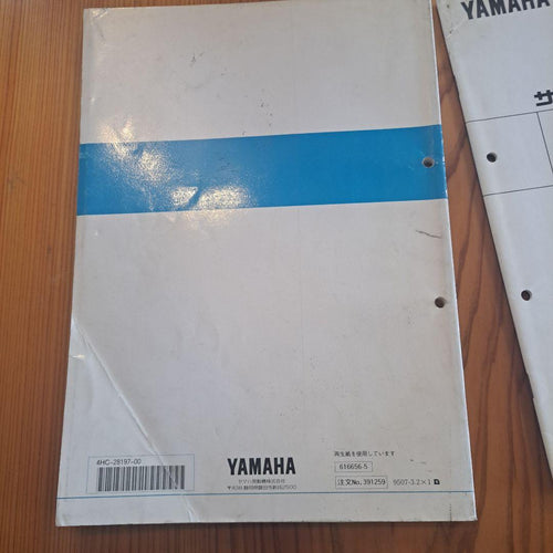 Catalog Manual Yamaha Yp250/Yp250S 1995