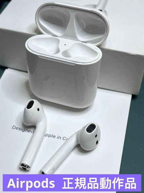 Apple Airpods Body