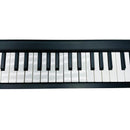 Others Korg Midi Microkey2-49
