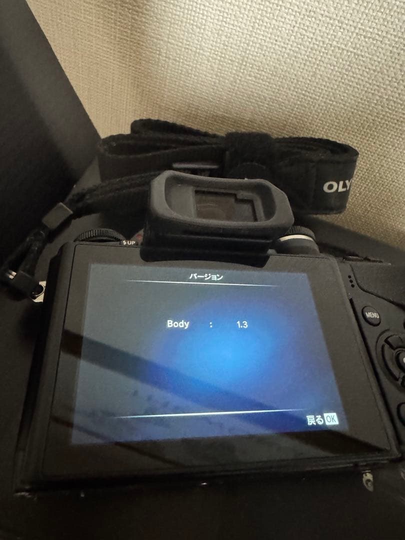 Olympus Mirrorless Interchangeable Lens Cameras Om-D E-M10