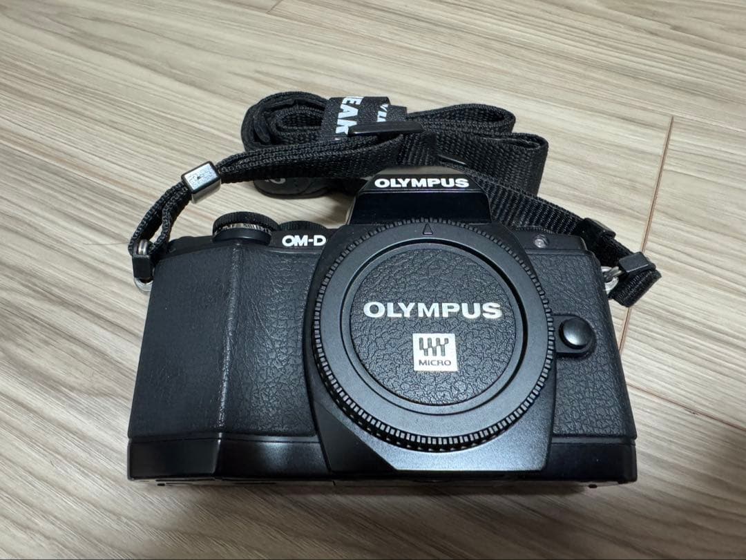 Olympus Mirrorless Interchangeable Lens Cameras Om-D E-M10