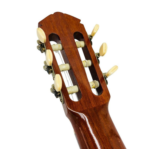 Classical Guitars Yamaha G-85D