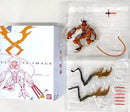Others Ultimate Image Last Evolution