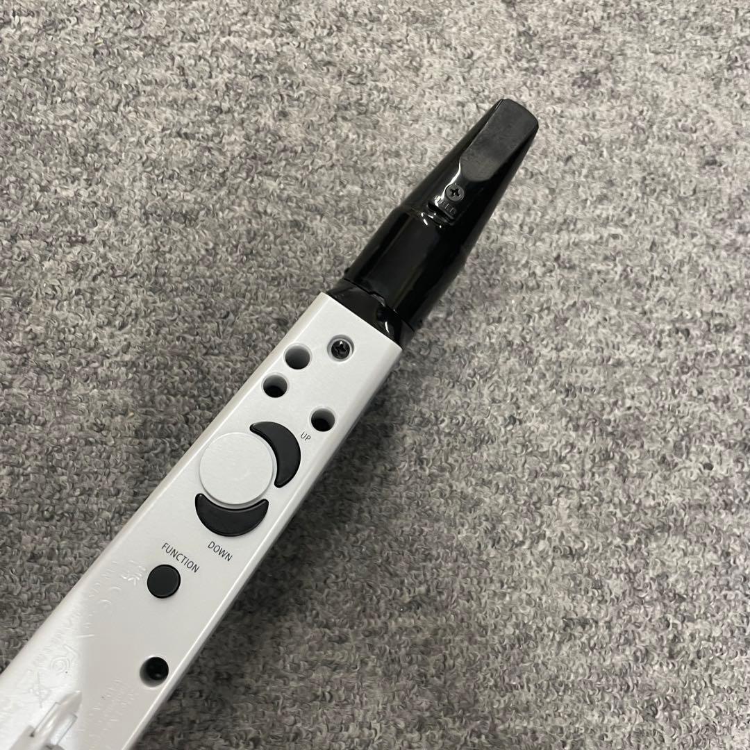 Roland Other Aerophone Mini Ae-01