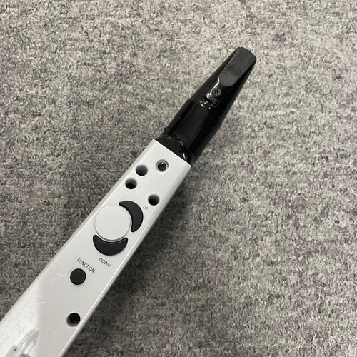 Roland Other Aerophone Mini Ae-01