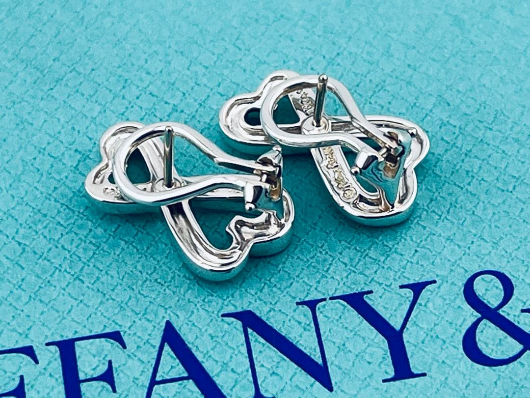 Tiffany Earrings (Pairs) D109 925