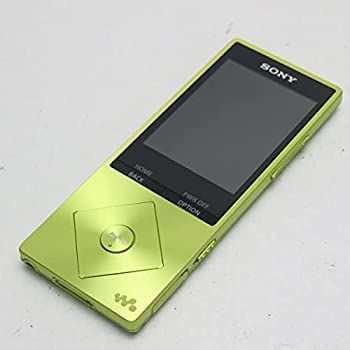 Others Sony A20 16Gb 2015 Nw-A25 Ym