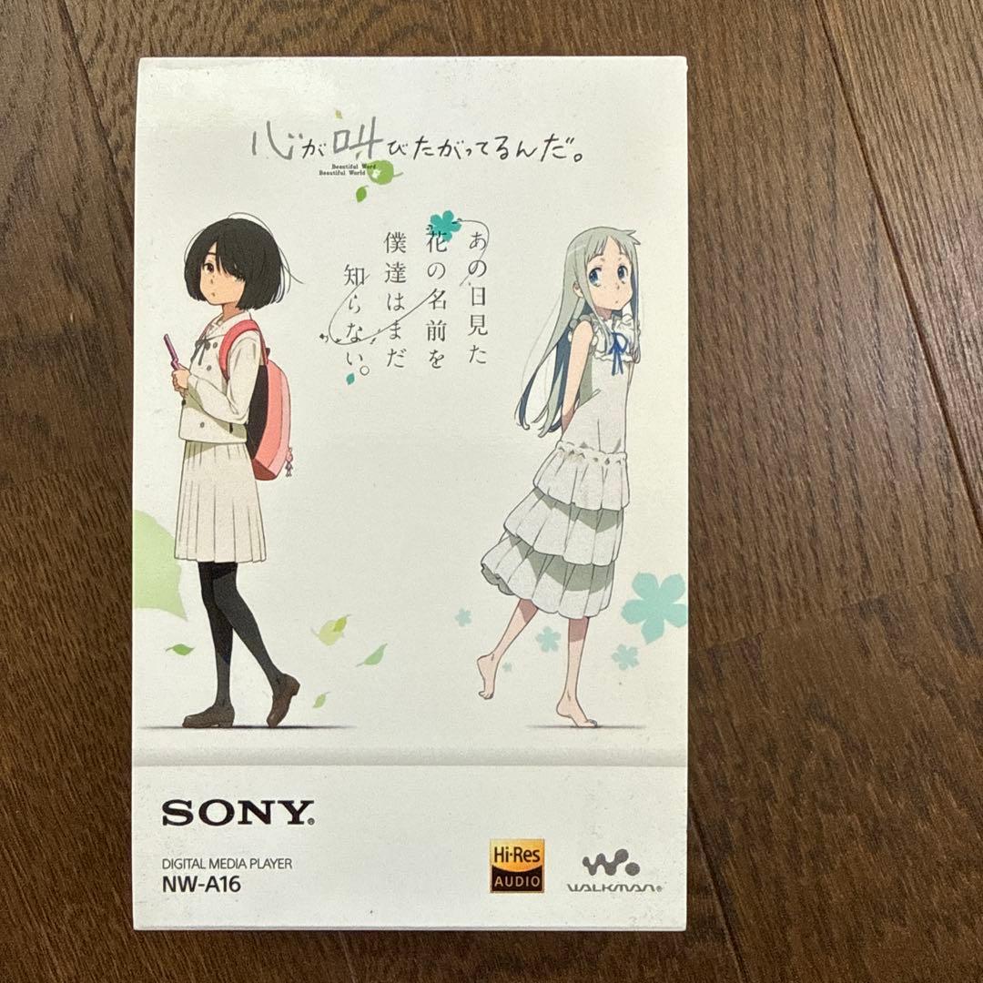 Sony Digital Audio Player Nw-A16