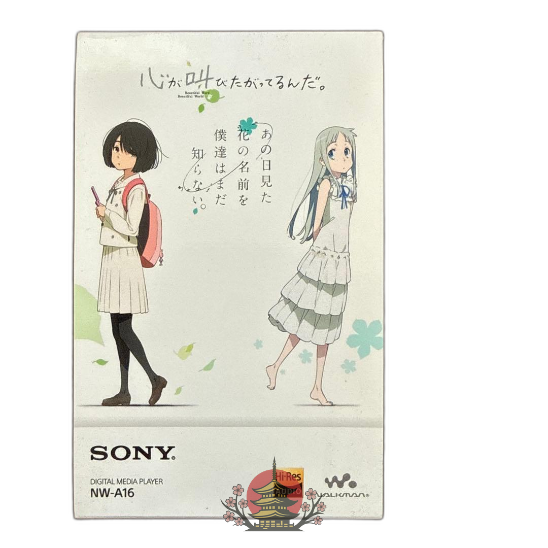 Sony Digital Audio Player Nw-A16