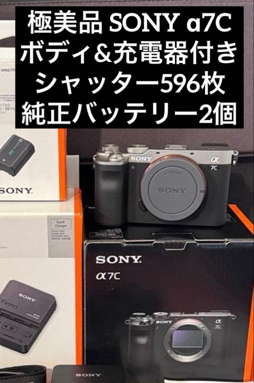 Sony Mirrorless Interchangeable Lips 596 7C