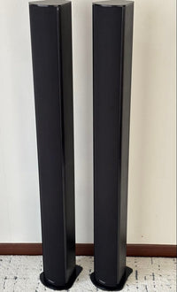 Piega Speakers Tmicro5
