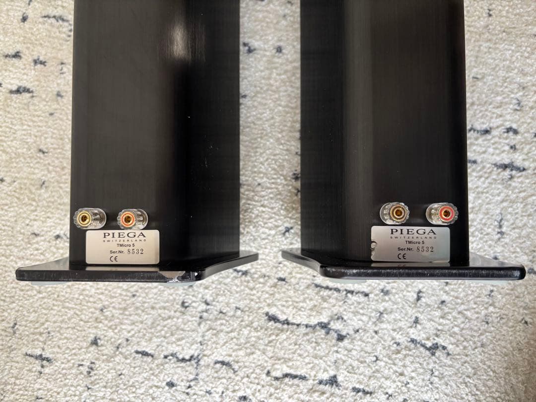 Piega Speakers Tmicro5