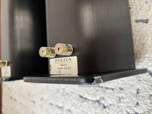 Piega Speakers Tmicro5