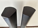 Piega Speakers Tmicro5