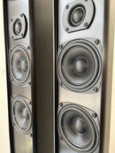 Piega Speakers Tmicro5