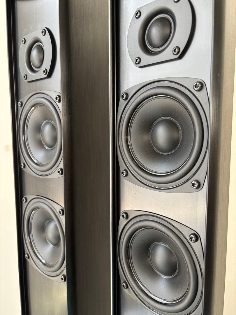 Piega Speakers Tmicro5