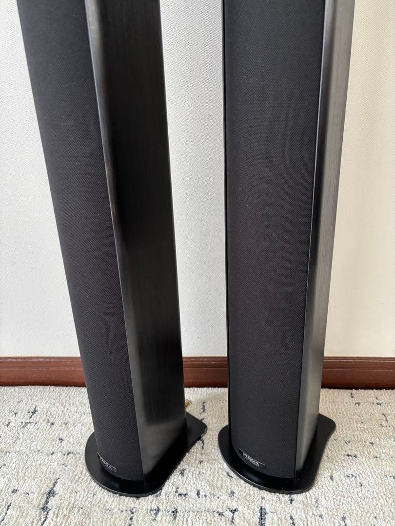Piega Speakers Tmicro5